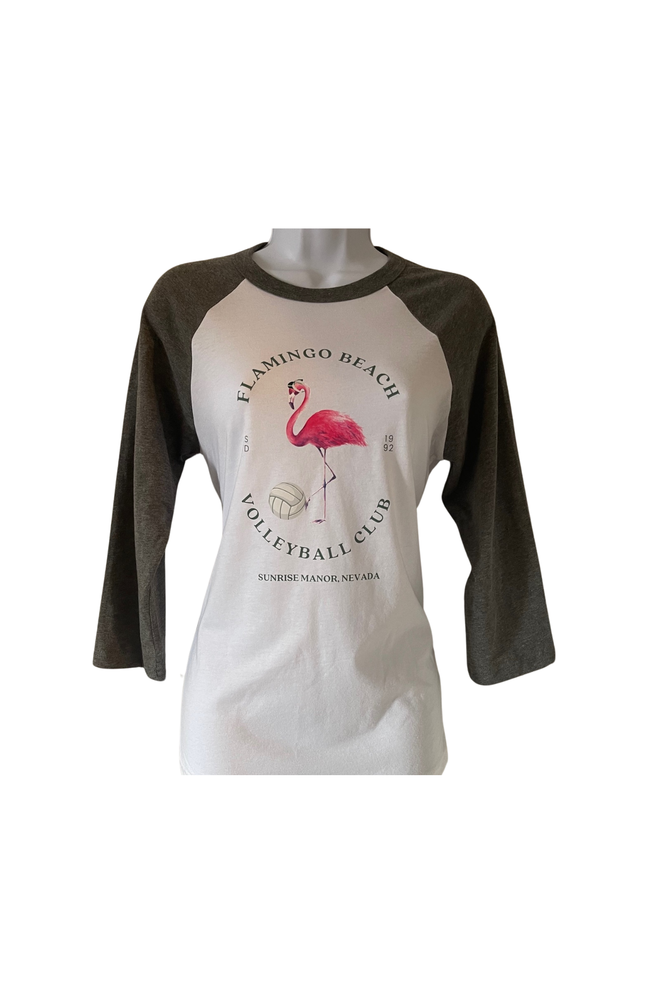 Flamingo Beach Volleyball Tee